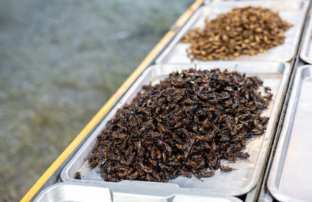 Crickets and various kinds of insects are fried and stacked in stainless steel trays to sell at a...