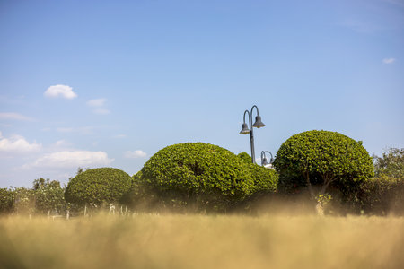 A low angle view looking through the grass blurs the foreground to round bushes and decorative lanterns and clock towers in a park with sky clouds as an afternoon backdrop.の写真素材
