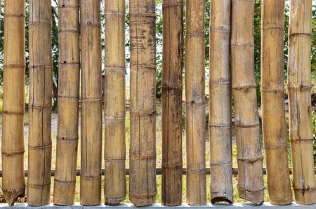 A close-up view of a large bamboo wall spaced out on a concrete pedestal with trees and lawns in the Thai countryside as a daytime backdrop.の写真素材