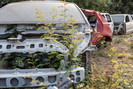 A rear view of the wreckage of a white car and others laying on the ground until grass grows near a...