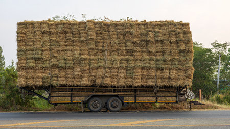 Background Side view Bulk rice straw bales stacked on top of each other and tied with rope on the platform of a truck parked on the side of a road near a grove of trees in rural Thailand.の写真素材