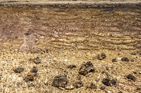 Background view of the basement section, which was dug into the shore with a backhoe to build a well...