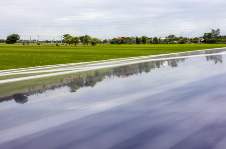 A close-up view of a reflection on a blue solar panel over green rice paddies and residential areas, commonly seen in Thai agriculture for renewable and renewable electricity.の写真素材