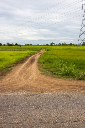 Views of dirt roads with traces of agricultural wheels that extend from the paved road through the green rice fields are common in rural Thailand.の写真素材
