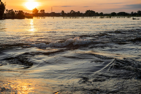 A view of the surface of a powerful stream flooding the rice fields of the Thai countryside in the early morning, with the rising sun casting an orange glow reflecting off the water in the background.の写真素材