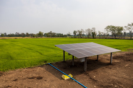 Top view of solar cell panels, an alternative energy source, installed on concrete poles on a mound...