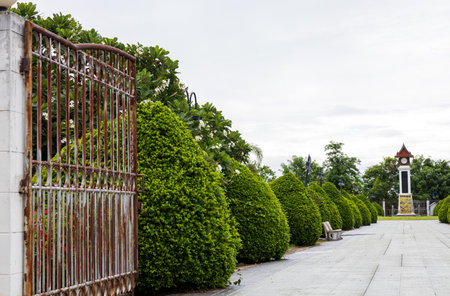 A view of green shrubbery and tall trees growing in rows near the side of a concrete courtyard with an iron entrance gate and a clock tower in a park in the Thai countryside.の写真素材