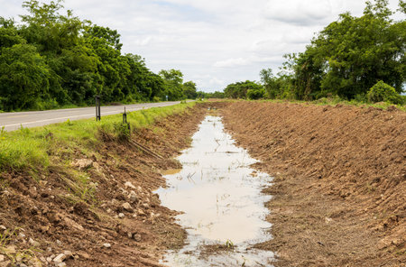 Views of irrigation canals that have been dredged until the earthen shore is visible to keep water flowing unobstructed during rainy weather are common in the Thai countryside.の写真素材