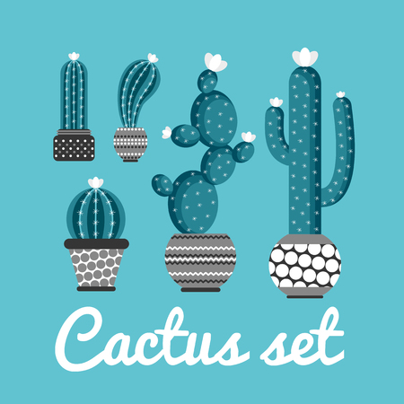cactus setのイラスト素材