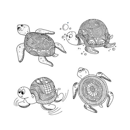 Set of turtle illustrationのイラスト素材