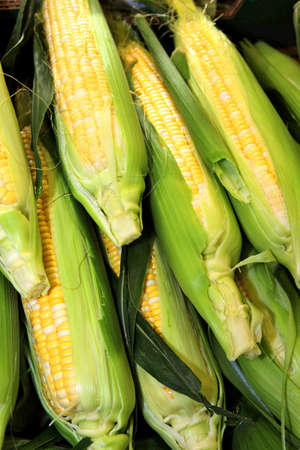 Corn Cob