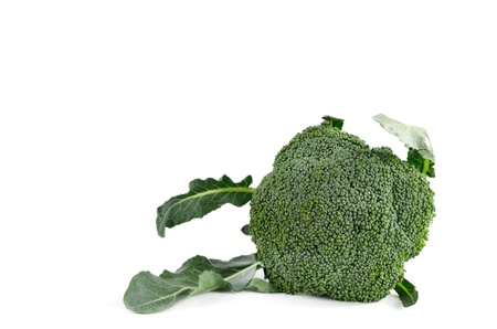 Broccoli vegetable isolated on whiteの写真素材