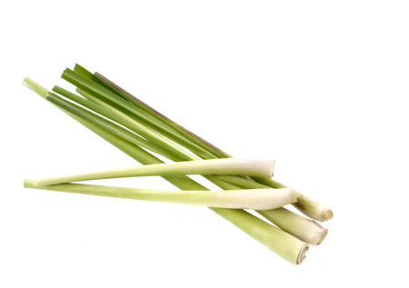 Lemongrass isolated on white の写真素材