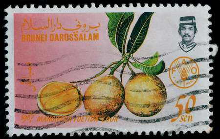BRUNEI DARUSSALAM - CIRCA 1987: A stamp printed in Brunei Darussalam shows Mangifera foetida or (Malmut, Horse Mango), circa 1987のeditorial素材