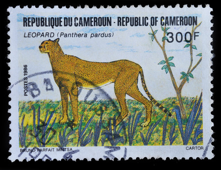 CAMEROON - CIRCA 1986 : postage stamp printed in Cameroon shows Leopard, circa 1986のeditorial素材