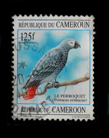 CAMEROON -CIRCA 1995   A stamp printed in Cameroon shows African Grey Parrot, circa 1995のeditorial素材