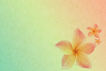 plumeria in soft and blur style on paper texture backgroundの写真素材