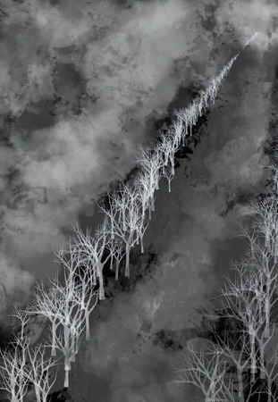 Darkness night and fog with tree silhouette background. Sad and lonely backgroundの写真素材