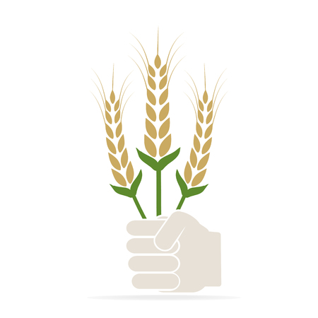 Hand holding with wheat icon, Growth conceptのイラスト素材