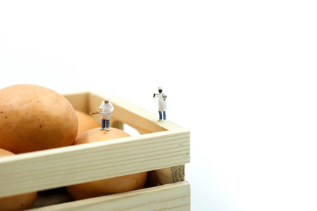 Miniature people : Chef during cooking and working with eggs.