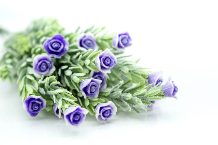 Purple Rose ,Artificial violet Flower  Isolated on White background.の写真素材
