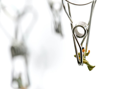 Miniature people : Joyful swinging on a swing,Fun and happiness concept.の写真素材