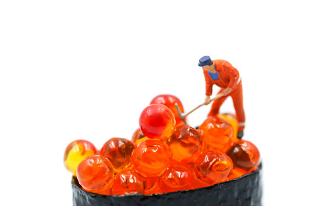Miniature people : worker with Salmon egg on sushi nigiri roll on white background.