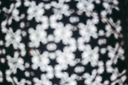 Blur of abstract  black star background.の写真素材