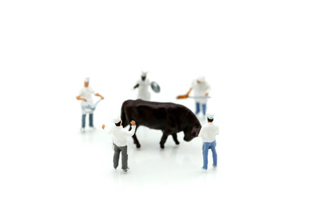Miniature people : chef prepare cook beef steak ribs on  kitchen backgroundの写真素材