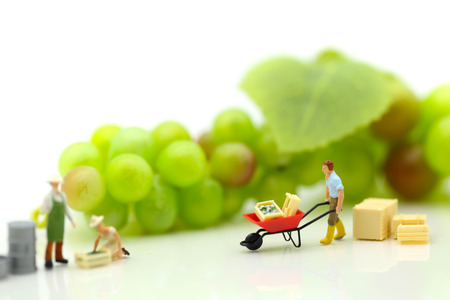 Miniature people : team farmer work with fruit concept agricultureの写真素材