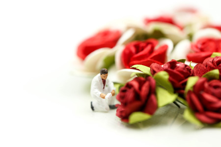 Miniature people : Team worker with Red roses and white roses on white backgroud, valentine day...