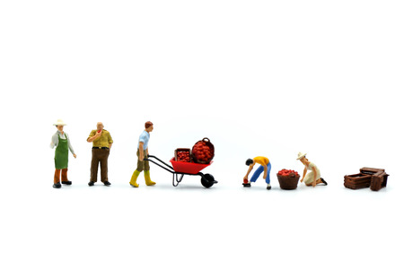 Miniature people : worker with market apple using for concept of Apple Day.の写真素材