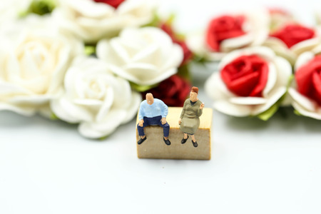 Miniature people : Couple of love with rose,Lover concept.の写真素材