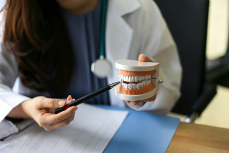 Doctor with Red heart and health care equipment, teeth and mouthの写真素材