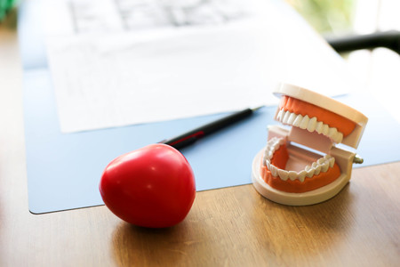 Doctor with Red heart and health care equipment, teeth and mouthの写真素材