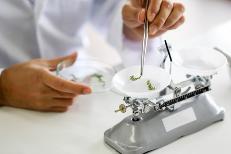 Set of Chemical tube development and pharmacy in laboratory,biochemistry and research technology concept.の写真素材