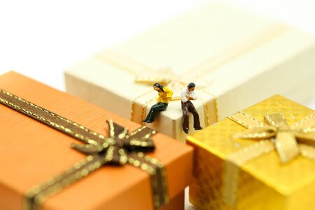 Miniature people : couple of love with gift box,love concept.の写真素材