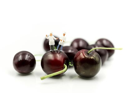 Miniature people : chef with cherrys,cherry month concept.の写真素材