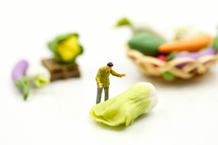 Miniature people : Farmer with  agricultural product at farmer marketの写真素材