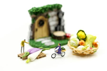 Miniature people : Farmer with  agricultural product at farmer marketの写真素材