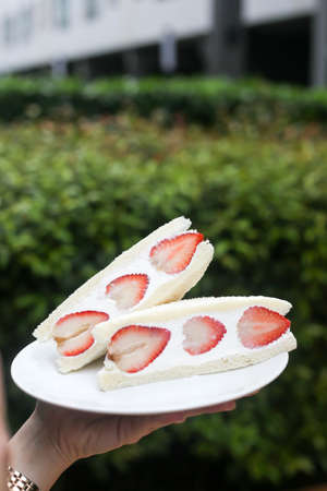 Strawberry and kiwi cream sandwich,Japanese style sweet sandwiches.の写真素材