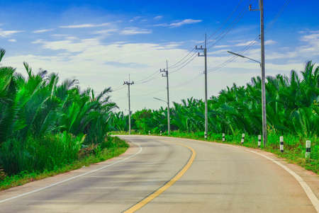 The road in the forest, green,and sky, bright.の写真素材
