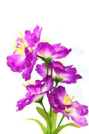 Purple plastic flower woodの写真素材