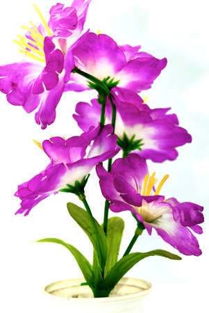 Purple plastic flower woodの写真素材