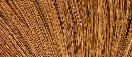 Broom close up
