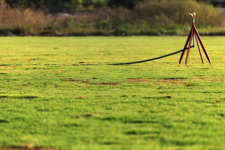 Water sprinkle grass fieldの写真素材
