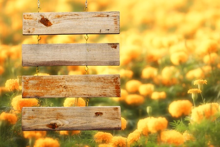 Wood Sign With Yellow Flowers Backgroundの写真素材