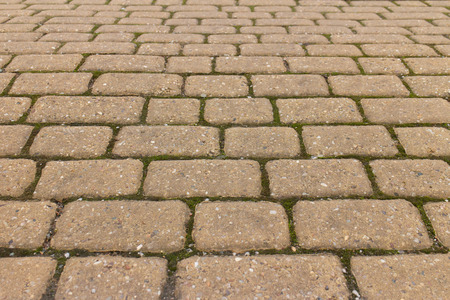 Stone floor backgroundの写真素材