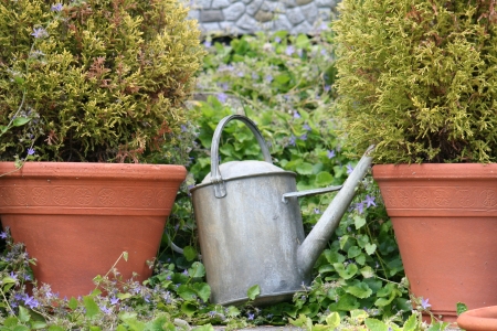 Watering Canの写真素材