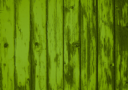 Cool green grunge wood textureの写真素材